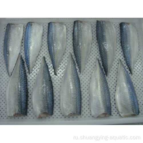 Pacific Mackerel Frozen Mackerel Filet морепродукты